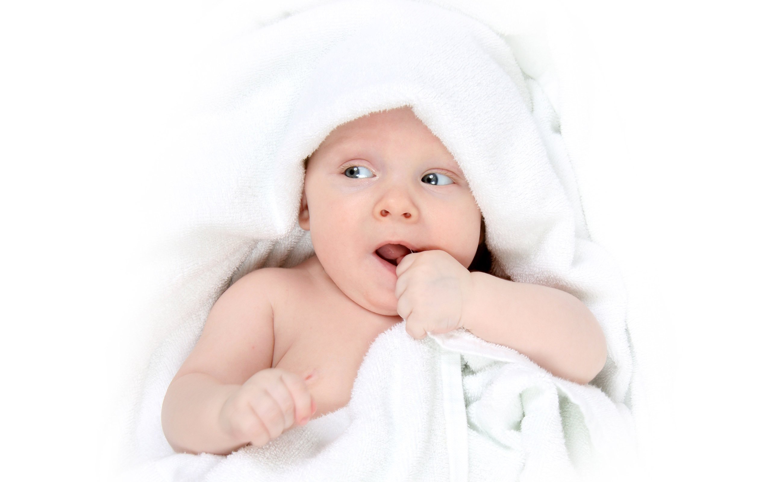 呼和浩特捐卵自怀胚胎培养成囊胚成功率